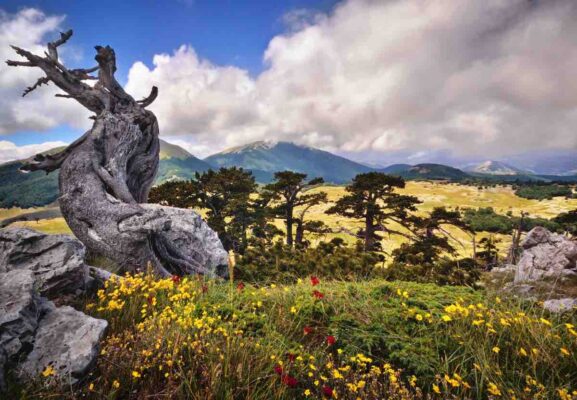 Parco Nazionale del Pollino in moto
