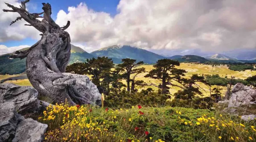 Parco Nazionale del Pollino in moto: itinerario avventuroso tra strade e sterrati