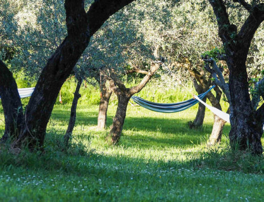 Kokopelli Camping