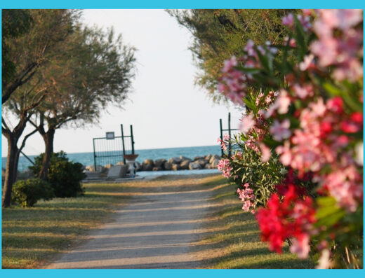Frase chiave: campeggio biker friendly Molise