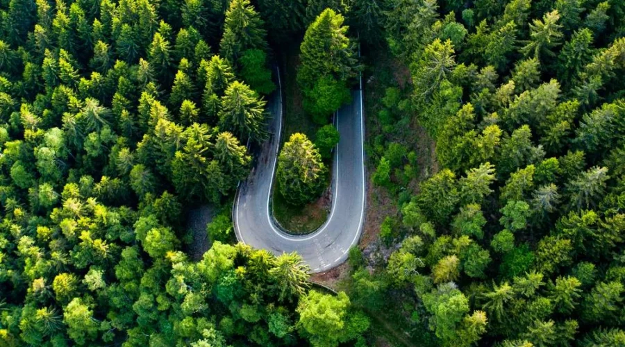 Panoramica Zegna in moto: un itinerario spettacolare tra curve, boschi e panorami piemontesi