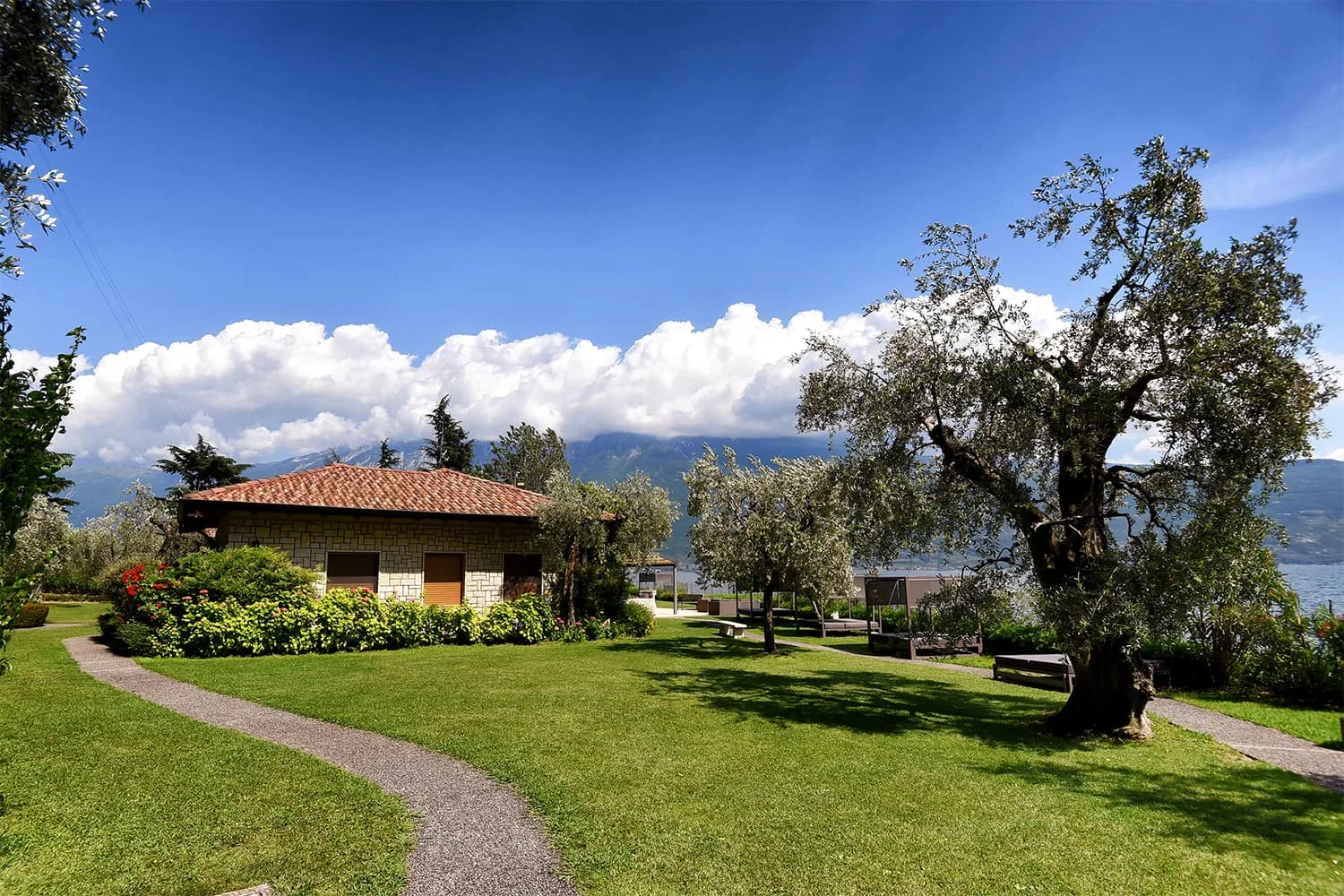 B&B Torre Degli Ulivi